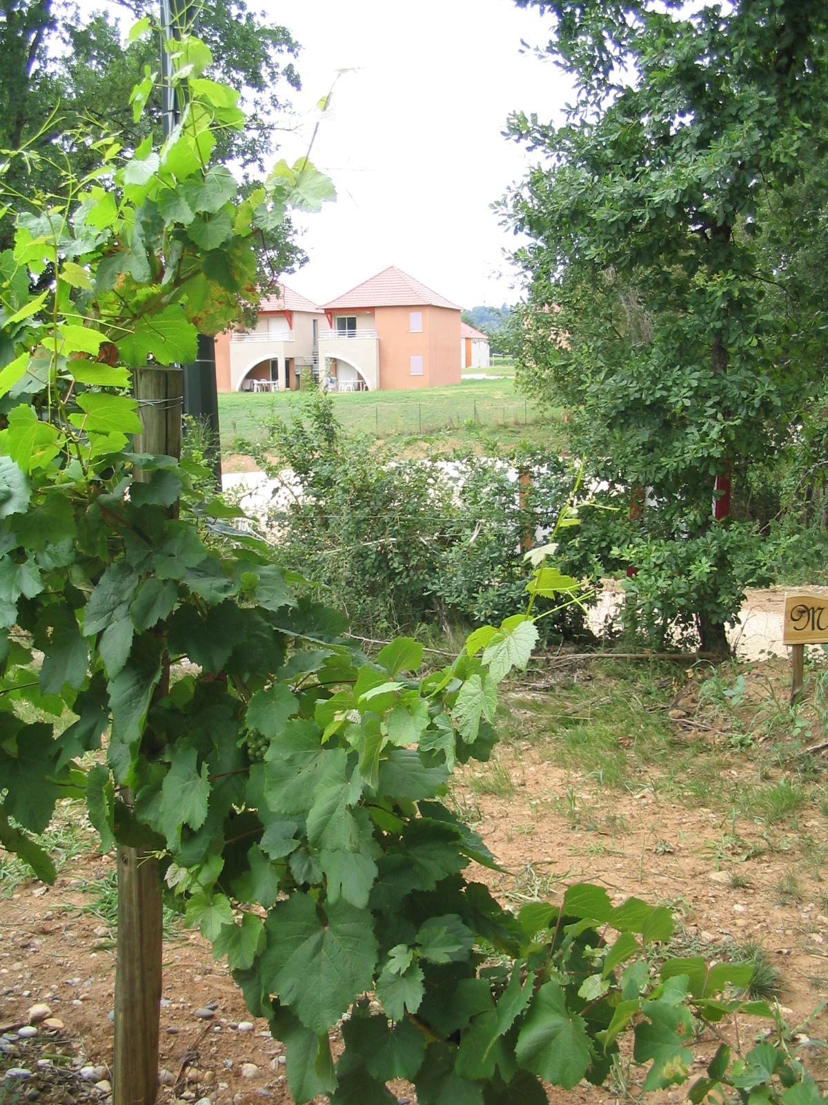 Terres De France - Domaine De Claire Rive Hotel Prayssac Exterior foto